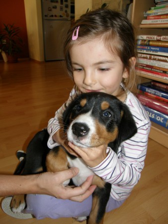 Athabasca v náručí Michalky